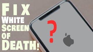 How To Fix iPhone White Screen of Death Problem? 