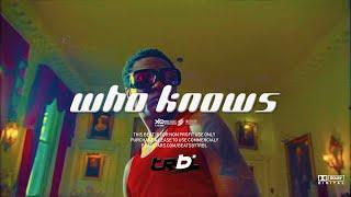 [FREE] Rema x Burnaboy x Wizkid Type Beat- "WHO KNOWS" | Amapiano Instrumental 2022