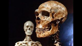 200 Ancient ‘Giant’ Skeletons Unearthed in Cayuga, Canada! Great Lakes Region! Where Are They Today?