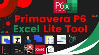 How to Use the Primavera P6 Excel Lite Tool : Transform Your Project Controls - Complete Tutorial