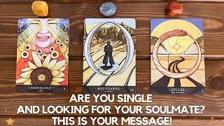 Are You Single And Looking For Your Soulmate? This Is Your Message!   | Timeless Reading