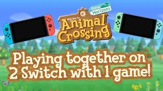 How to share Animal Crossing New Horizons on 2 Switch with 1 game copy