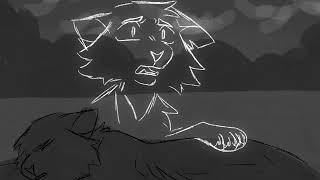 Confrontation Unfinished Warrior Cats OC Storyboard