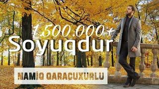 Namiq Qaraçuxurlu - Soyuqdur