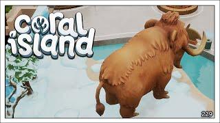 Coral Island Season 2 [229] Das erste Dino-Hologramm [Deutsch] Let's Play Coral Island 1.1