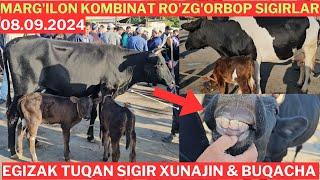 Marg'ilon kombinat mol bozori Ro'zg'orbop sigirlar narxlari! Bozor ancha arzon bo'ldi ️