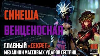 ВЕНЦЕНОСНАЯ И СИНЕША. Как на самом деле работают их массовые удары? RAID Shadow Legends ГАЙД / ОБЗОР