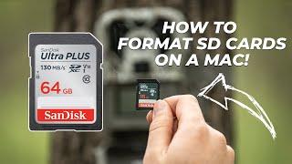 How to Format SD Cards on a Mac