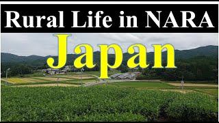 Village Life in NARA, Japan | Basic Facilities in Japanese Villages | Rural Life in JAPAN