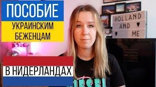 Денежное пособие и работа для украинских беженцев в Нидерландах.