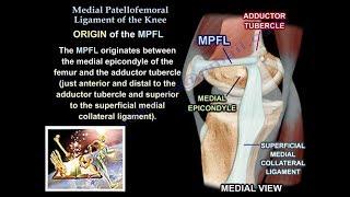 Medial Patellofemoral Ligament Of The Knee Anatomy ,Everything You Need To Know - Dr. Nabil Ebraheim