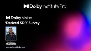 Dolby Vision SDR Survey | Dolby Institute Pro