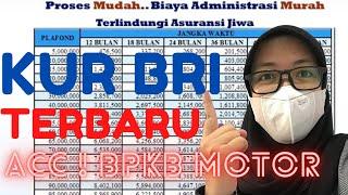 PINJAMAN KUR BANK BRI TERBARU TAHUN 2021 SEGERA AJUKAN BPKB MOTOR