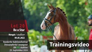 Auktionsfestival Training Lot 20 Be a Star Hengst v. Benicio - Dancier