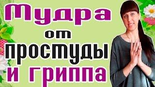 МУДРА ОТ ПРОСТУДЫ И ГРИППА / ЧЕМ ЛЕЧИТЬ ПРОСТУДУ? / СРЕДСТВО ОТ ГРИППА / СРЕДСТВО ОТ ПРОСТУДЫ