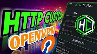 How to Set Up an OpenVPN Server on HTTP Custom VPN
