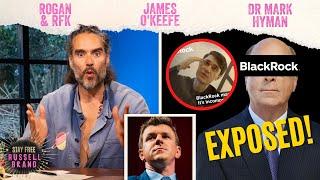 BLACKROCK CORRUPTION EXPOSED!! Video Sting Goes VIRAL - #151 - Stay Free With Russell Brand PREVIEW