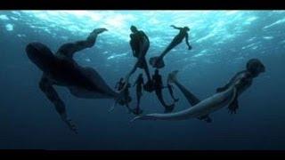 Discovery Channel 1/2--Mermaids: The Body Found