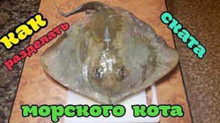 Как разделать морского кота (ската)