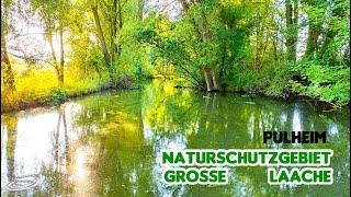 Große Laache Nature Reserve, Orrer Forest, Pulheim, North Rhine-Westphalia, Germany  (4K Fors TV)