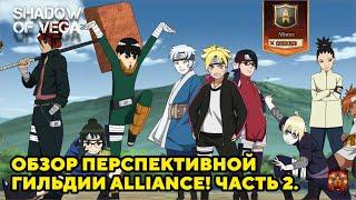 БОЛЬШОЙ ОБЗОР ПЕРСПЕКТИВНОЙ ГИЛЬДИИ ALLIANCE! ЧАСТЬ 2! Тени Пика | Конфликт хидзюцу