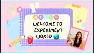 WELCOM TO EXPERIMENT WORLD