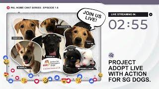 PAL Home Chat Series Ep 1.5 - Action for SG Dogs