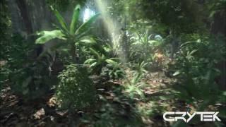 Crysis - Direct X 9 vs. Direct X 10 Comparison - HD