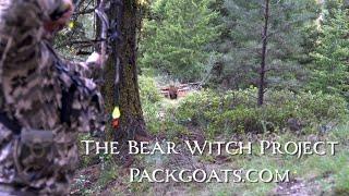 The Bear Witch Project | Packgoats.com and Top End Adventures