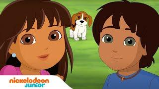 Dora & Friends | Marathon des aventures animales et féeriques de Dora et ses amis | Nickelodeon Jr.
