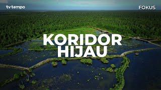 Degradasi Lahan Gambut dan Deforestasi Mangrove Mengancam Keanekaragaman Hayati Indonesia