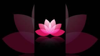 Lotus flower design trick in adobe illustrator #shorts #viralshorts