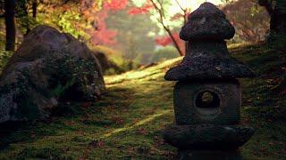 Dream Window: Reflections On The Japanese Garden (Full HD)