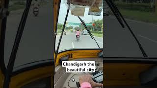 Chandigarh waliye #chandigarh