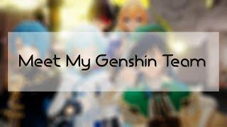 Meet my genshin team!