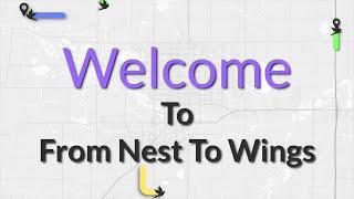 What Is From Nest To Wings?