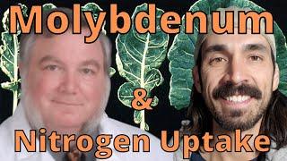 Molybdenum & Nitrogen Uptake with Harley Smith