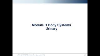 Module H: Body Systems - Urinary