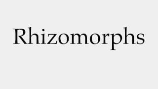 How to Pronounce Rhizomorphs