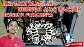 Macam Macam Sensor Dan Actuator lengkap dengan fungsinya