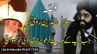 Peer Naseer ud Din Naseer || Story of Jalaluddin Rumi || Peace Tube ||