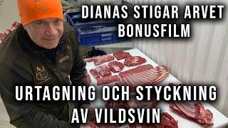 Dianas Stigar Arvet - Bonusfilm styckning av vildsvin