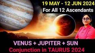 VENUS Transit in TAURUS 2024 | For All 12 Ascendants | 15th MAY - 12th JUN 2025 | Venus Combust 2024