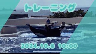 トレーニング　2024.10.6 10:00