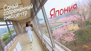 Лучший раковый центр в Японии: протонная терапия и особый уход  / The best cancer center in Japan