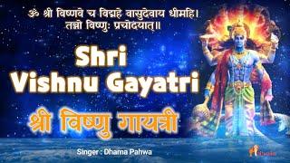 श्री विष्णु गायत्री मंत्र | Vishnu Gayatri Mantra | श्री हरि नारायण गायत्री मंत्र | By Dharna