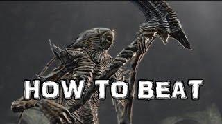 Dark Souls 2 How to Beat Nashandra BOSS