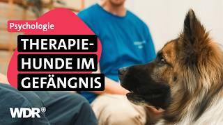 Tiergestützte Therapie: Wie Hunde Häftlingen neuen Mut schenken | Frau TV | WDR