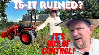 It Got Bad! Getting The Garden Under Control | Property Clean Up!