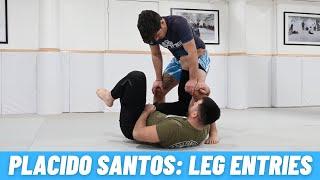 Placido Santos: Leg Entries